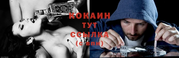 твердый Волоколамск