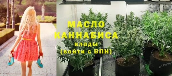 дживик Верхний Тагил