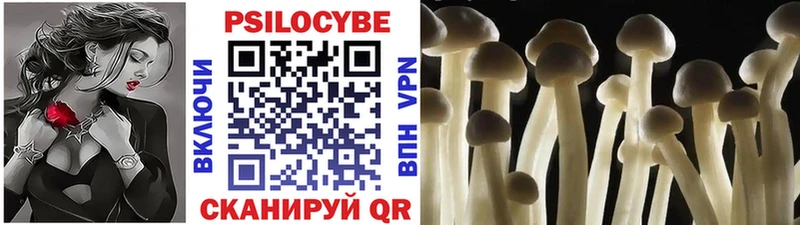 Псилоцибиновые грибы GOLDEN TEACHER  кракен ССЫЛКА  Ивантеевка 